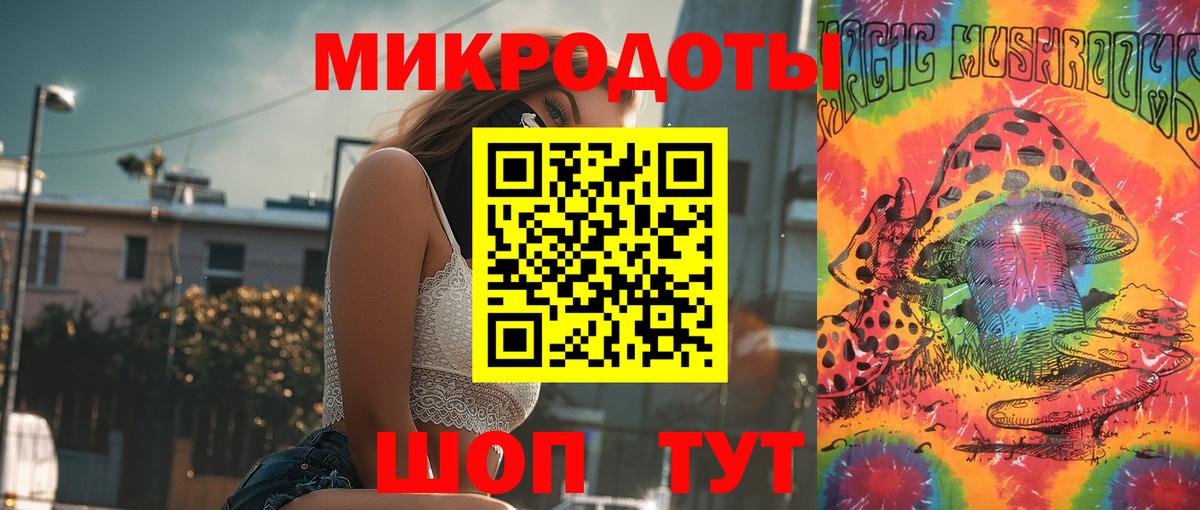 Галлюциногенные грибы Psilocybine cubensis Бирск
